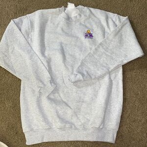Vintage Albany Danes LEE crew neck sweater